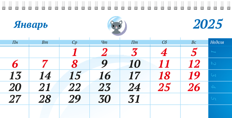 Квартальные календари - Зоомагазин - Синий Январь следующего года